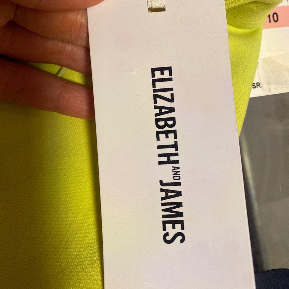 Elizabeth and James dress